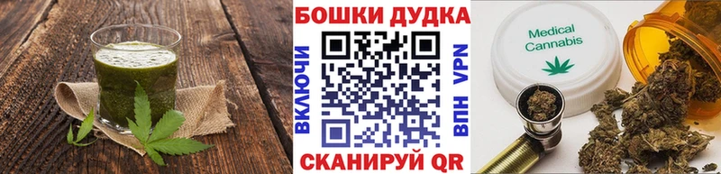 где найти   Кудрово  Canna-Cookies марихуана 