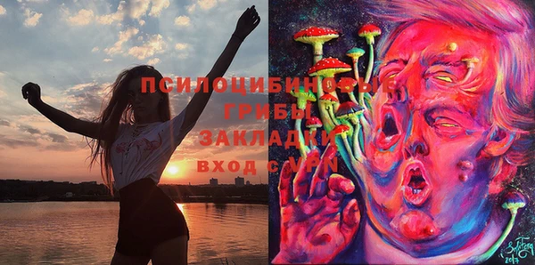 mix Кодинск
