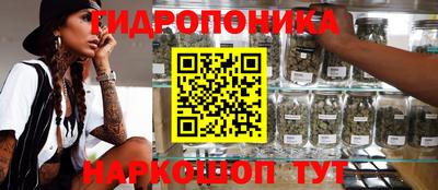 Альфа ПВП Краснокаменск