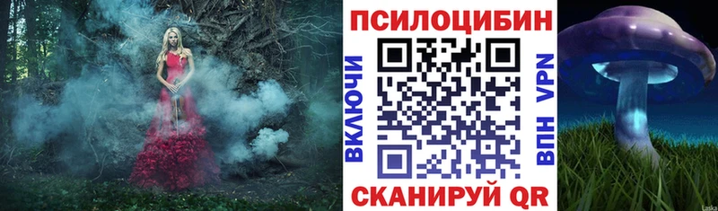 хочу наркоту  МЕГА   Псилоцибиновые грибы Psilocybine cubensis  Кудрово 
