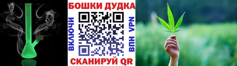 KRAKEN маркетплейс  купить  цена  Кудрово  Канабис планчик 